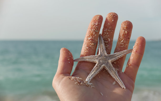 无脊椎动物标志