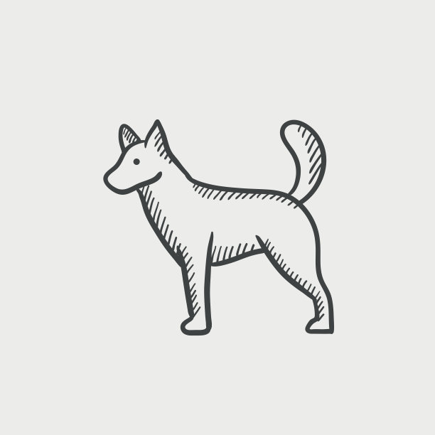 狗狗插画