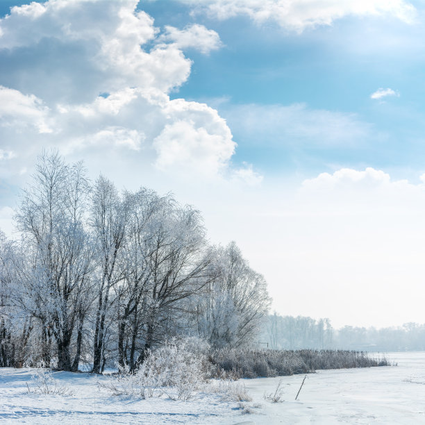 snowfall