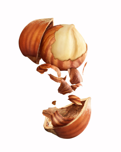nutshell
