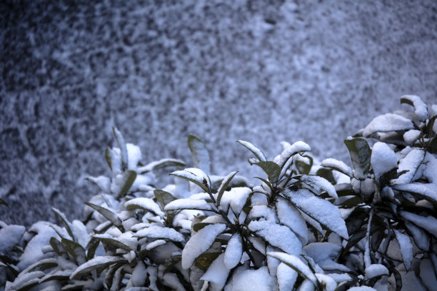 积雪屋檐