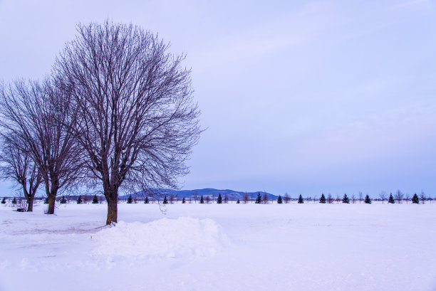 雪天湖岸