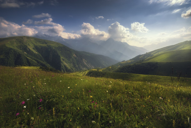 春天夏天春意风景美景