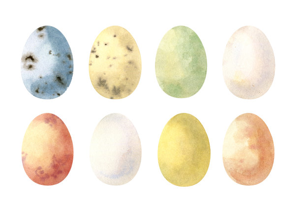 鸡蛋挂画