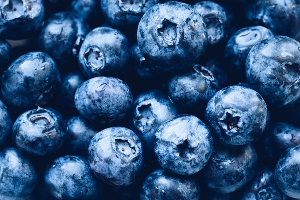 蓝莓俯拍素材