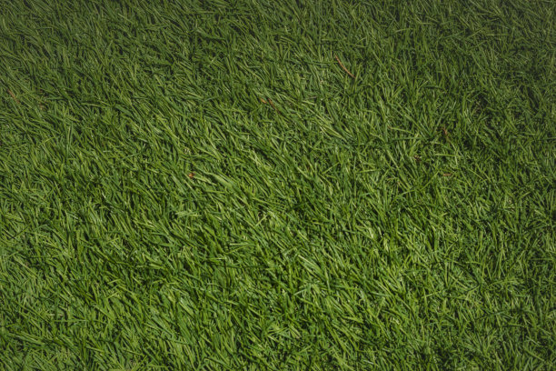 绿色草皮地毯
