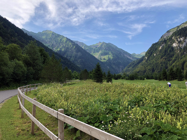 高尔夫球场绿色草地草坪