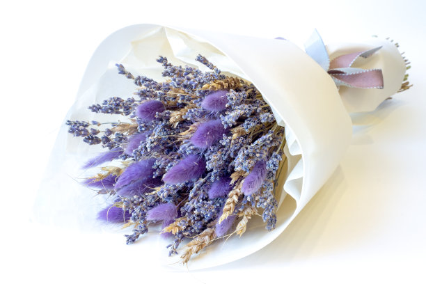 蓝紫色花冠