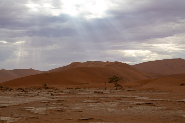 沙漠中的孤独