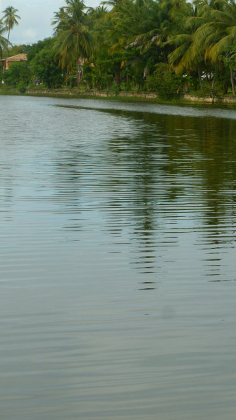 湿地河流天空素材