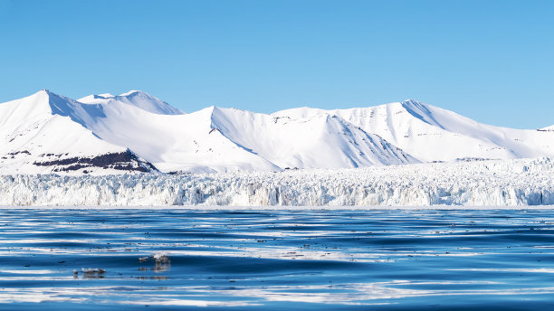 arctic