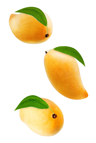 不新鲜的芒果