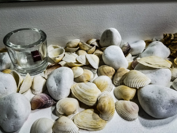 棚拍贝壳和海星