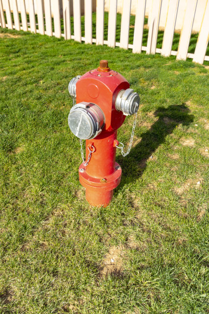 草坪上的消火栓