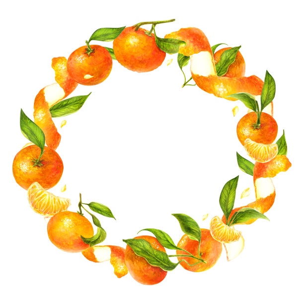 柑橘水果海报 