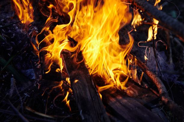 火焰的木柴