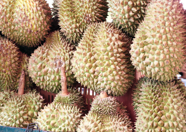 柬埔寨美食水果