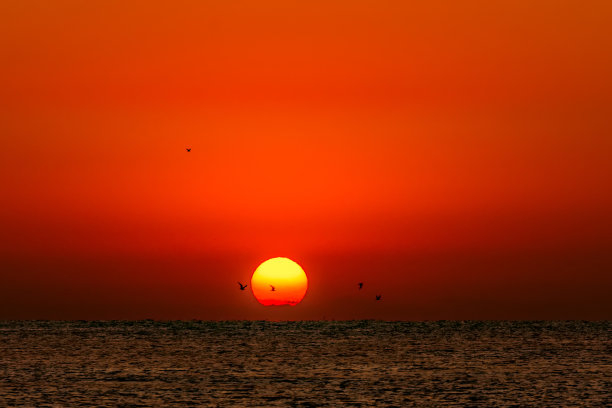 海上日出,晨曦,红太阳,海洋