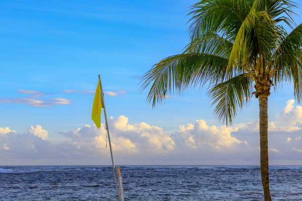 海边旗帜自然风景