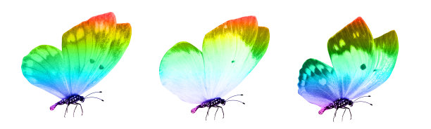 morpho