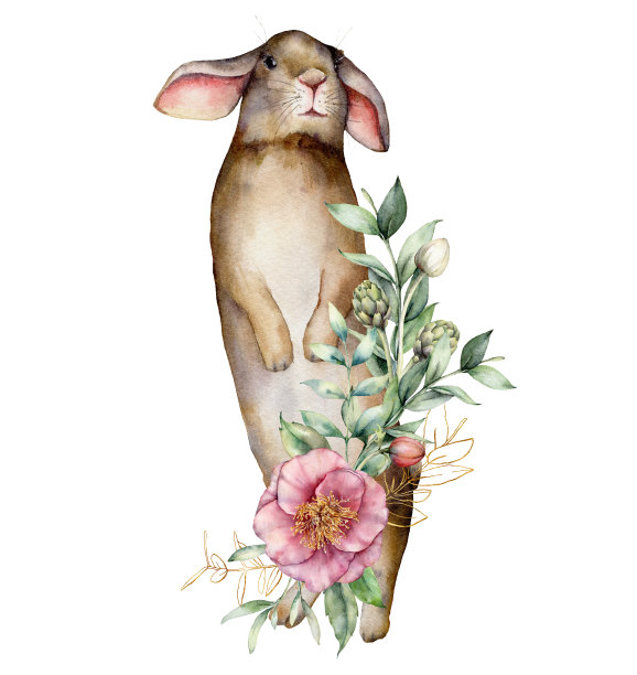兔子插画壁纸