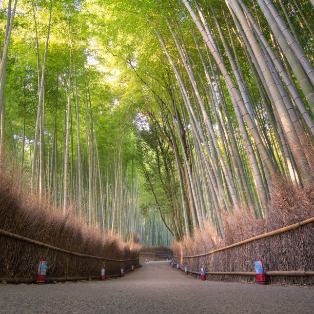 日本禅意园林