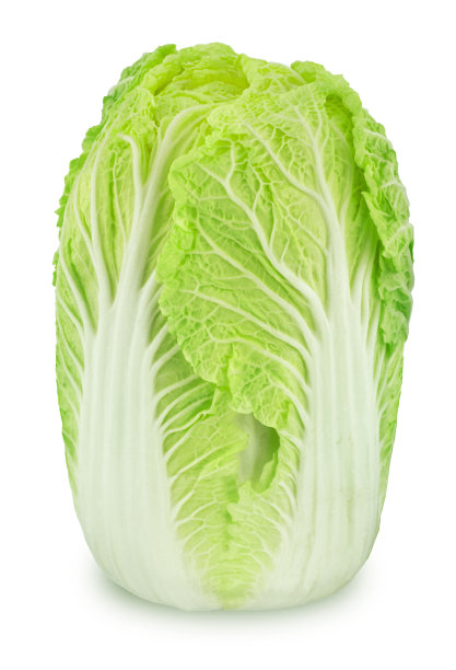 白菜