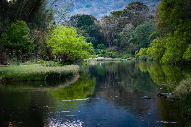 河流生态环境保护