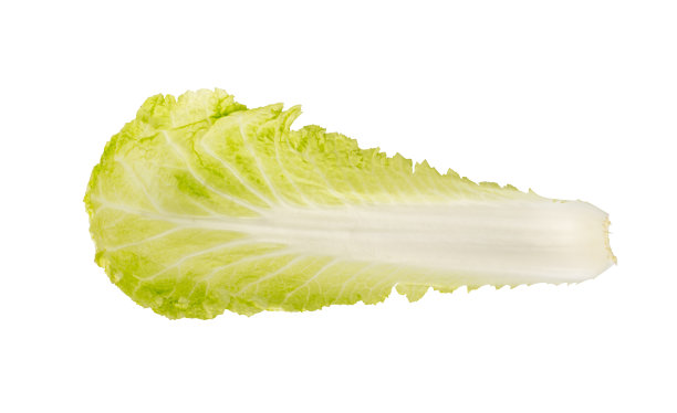 romaine