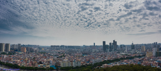 foshan