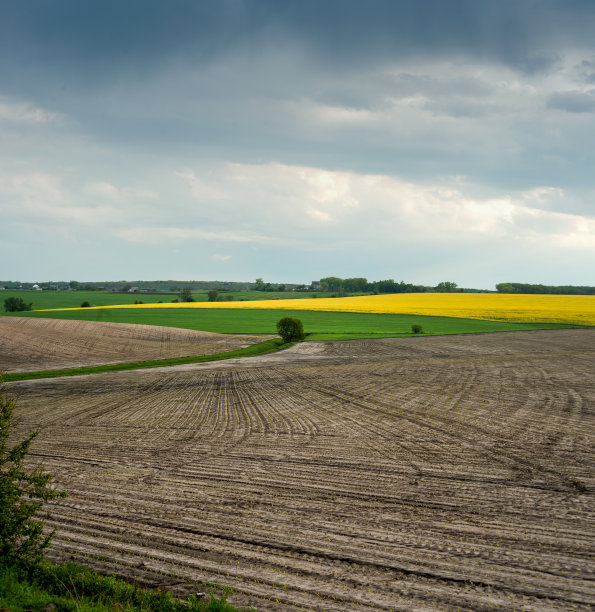 农业,波罗的海国家,大麦