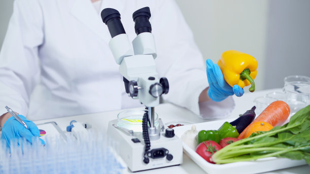实验显微镜实验蔬菜的科学家