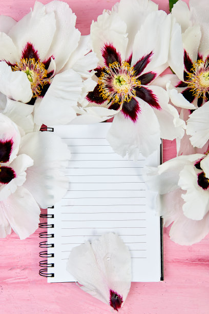 笔记本与粉色桌面