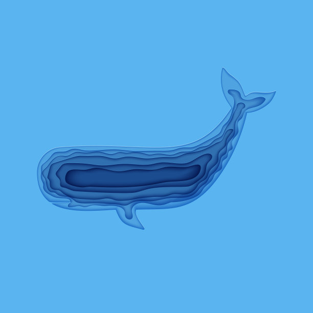 海豚创意插画