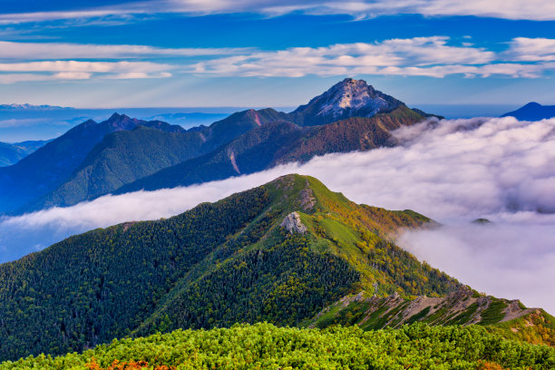 春天夏天春意风景美景