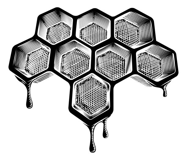 蜂蜜插画