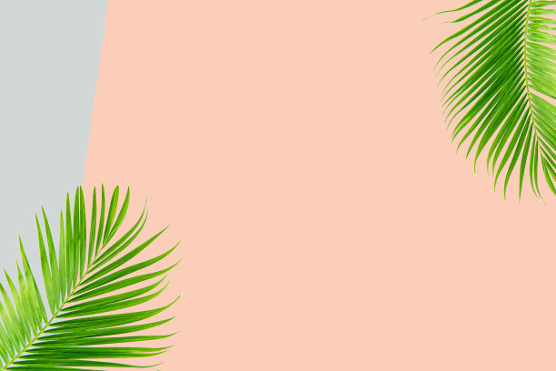 清新时尚潮流背景