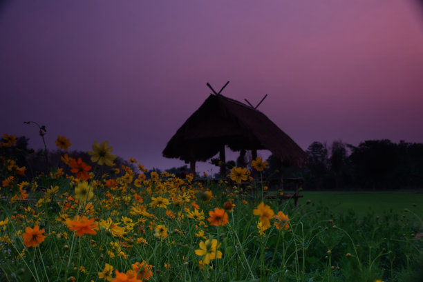 春天百花盛开万物复苏