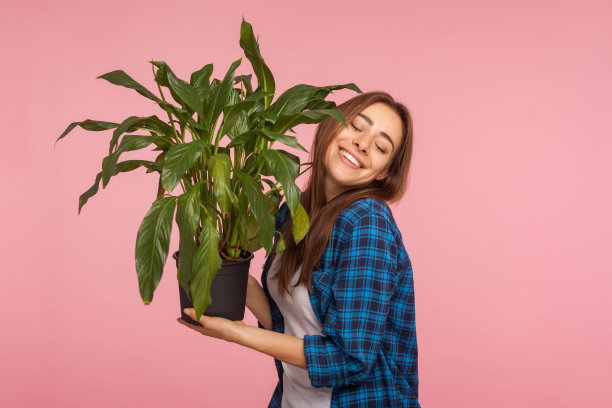 植物工厂内景