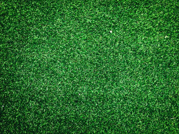 绿色草皮地毯