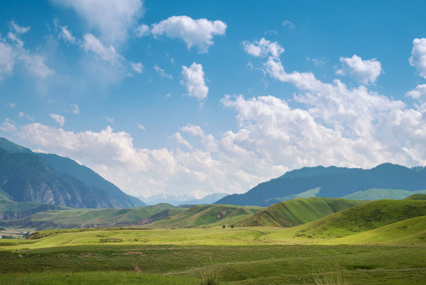 新疆的高山草原风光