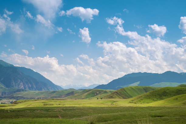 草原美景