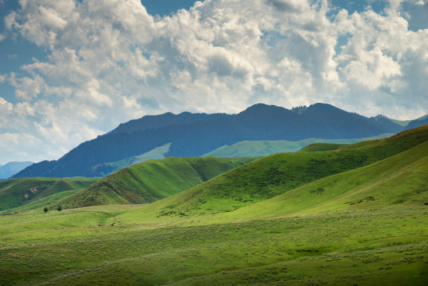 新疆天山草原