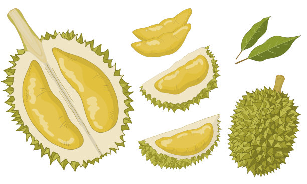 durian
