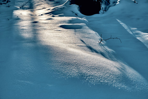 森林雪地寒冬树林