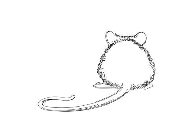 鼠绘画