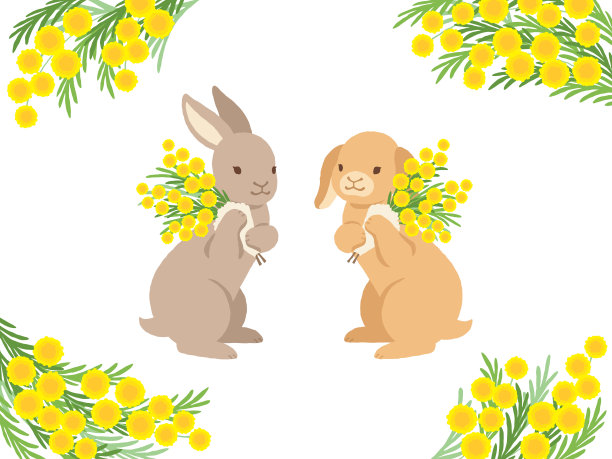 兔子插画兔年插画