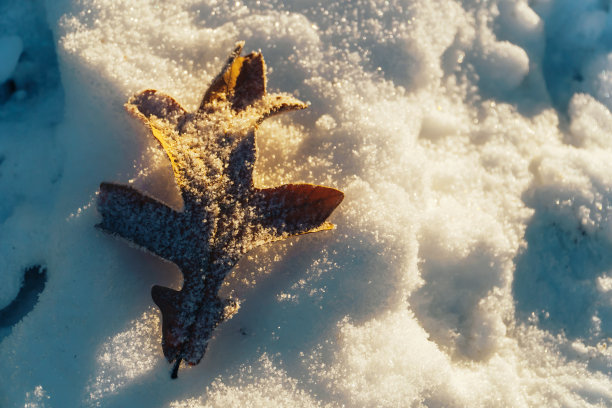 大雪冬至小寒大寒