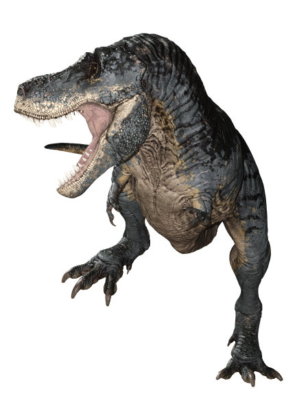 大型恐龙模型
