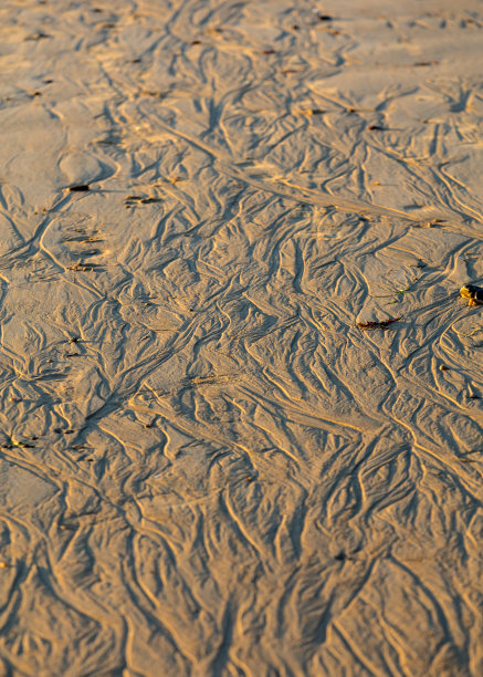 浪与砂
